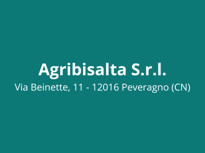 Analisi Archim Studio - Scheda Cliente
