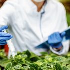Immagine Archim Studio - Consulenza Agroalimentare